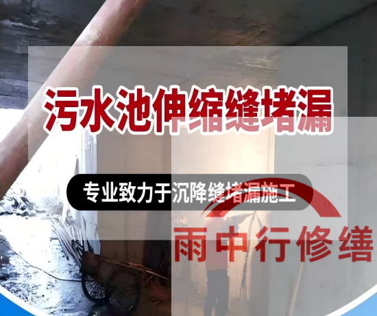 广州2026年高分子防水卷材成高端市场主流，光伏屋面需求爆发